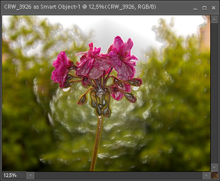 Non-destructively filtered RAW image