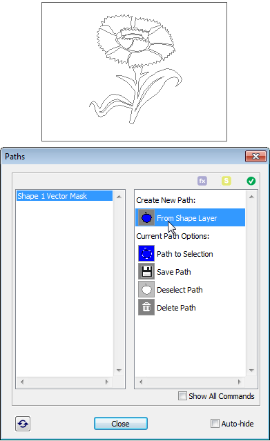 Creating path from shape layer
