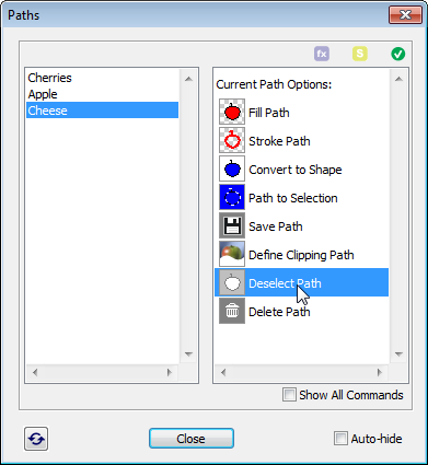 Paths tab