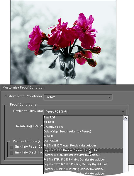 Customize Proof Condition dialog